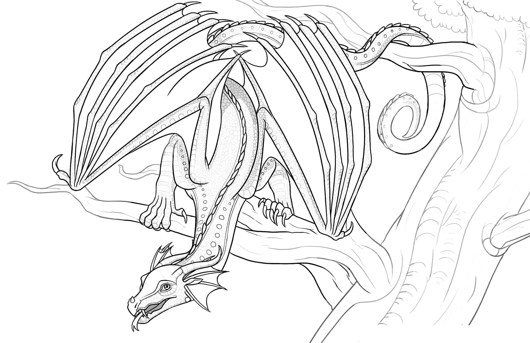 Wings of fire coloring pages