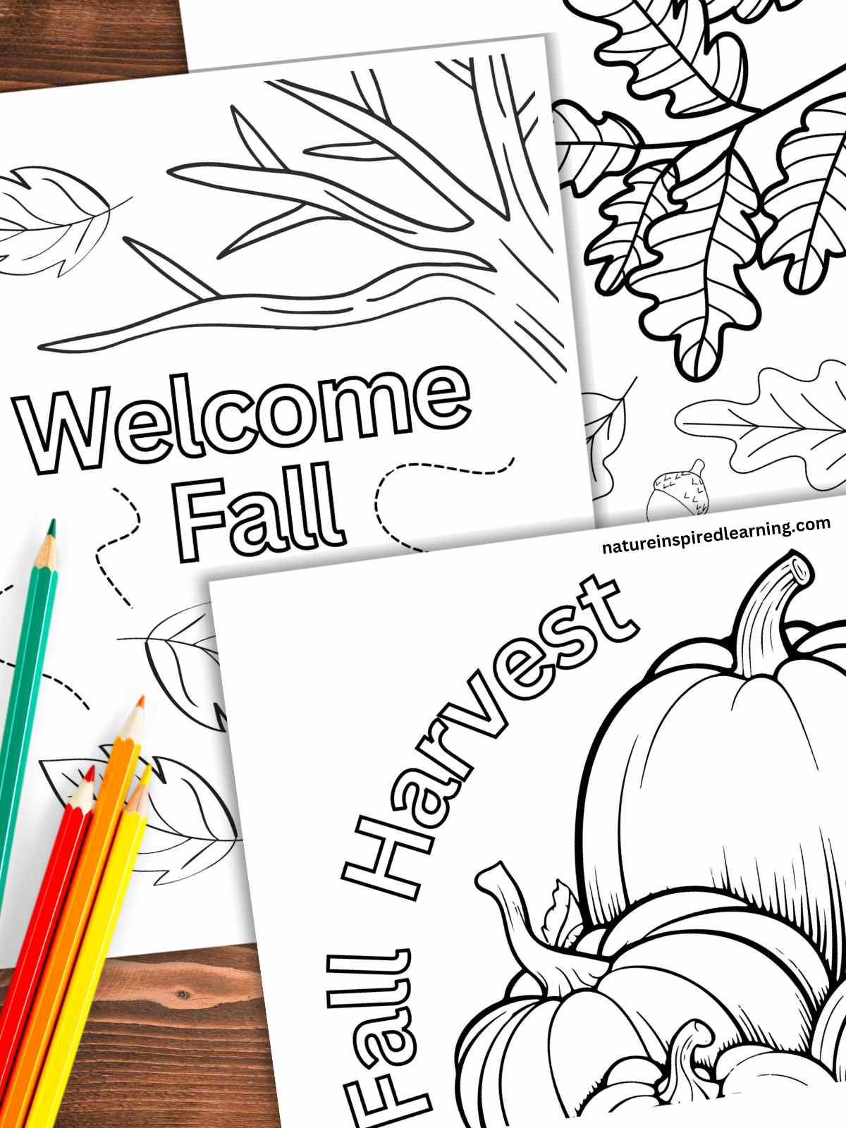 Fall coloring pages for autumn