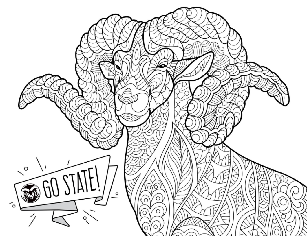 Cam the ram coloring page perfect for a study break coloring pages adult coloring pages los angeles rams logo