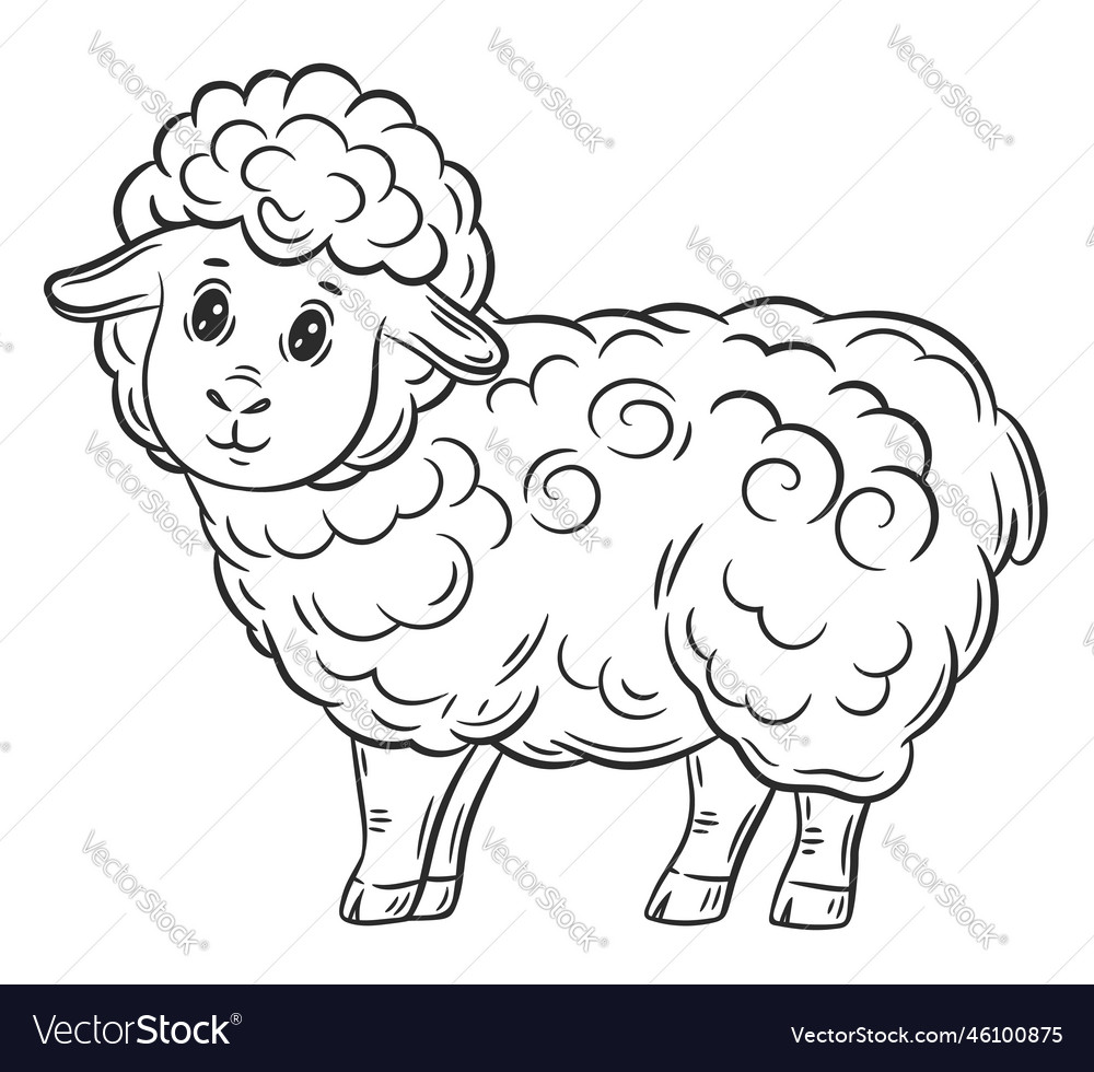 Cute sheep lamb ram farm animal line coloring book