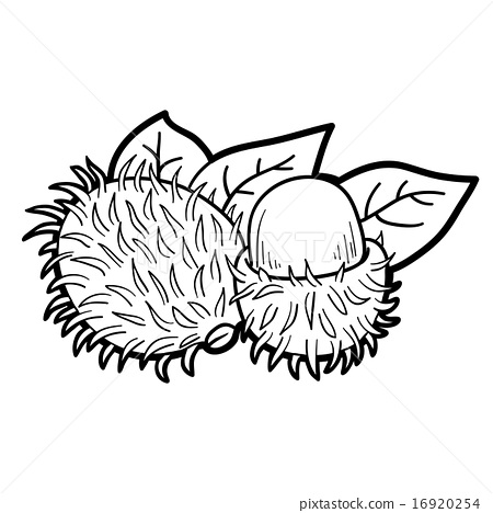 Coloring book game rambutan