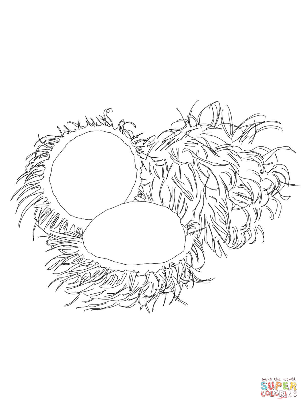 Rambutan coloring page free printable coloring pages