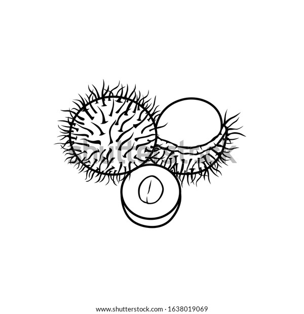 Rambutan black white vector all purpose stock vector royalty free