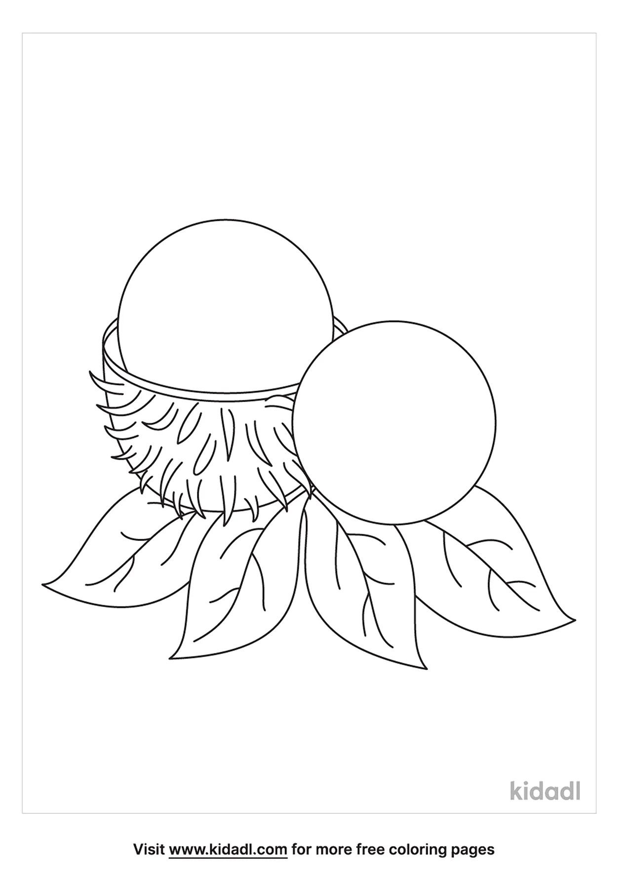 Free rambutan coloring page coloring page printables