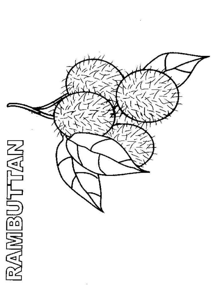 Rambutan coloring pages