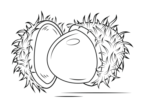 Coloring pages rambutan coloring page