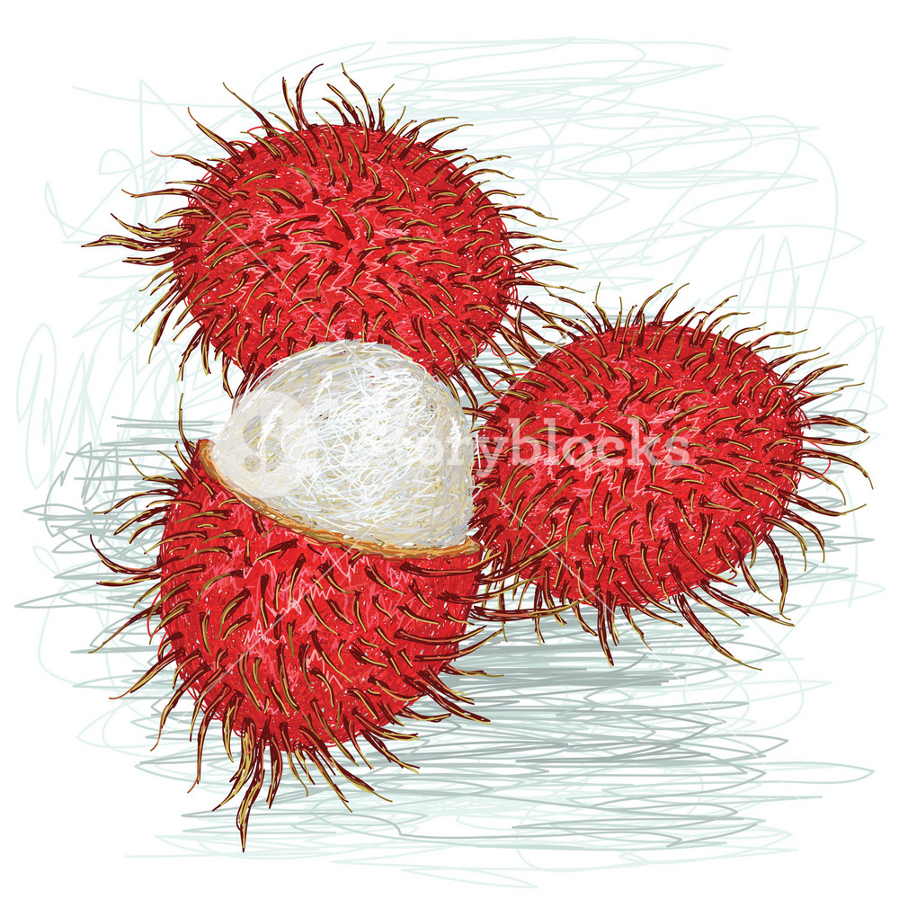 Rambutan peeled royalty