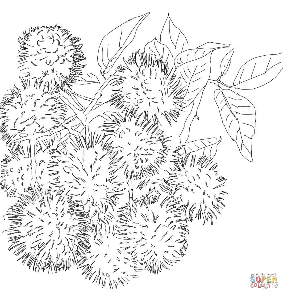 Rambutans on tree coloring page free printable coloring pages