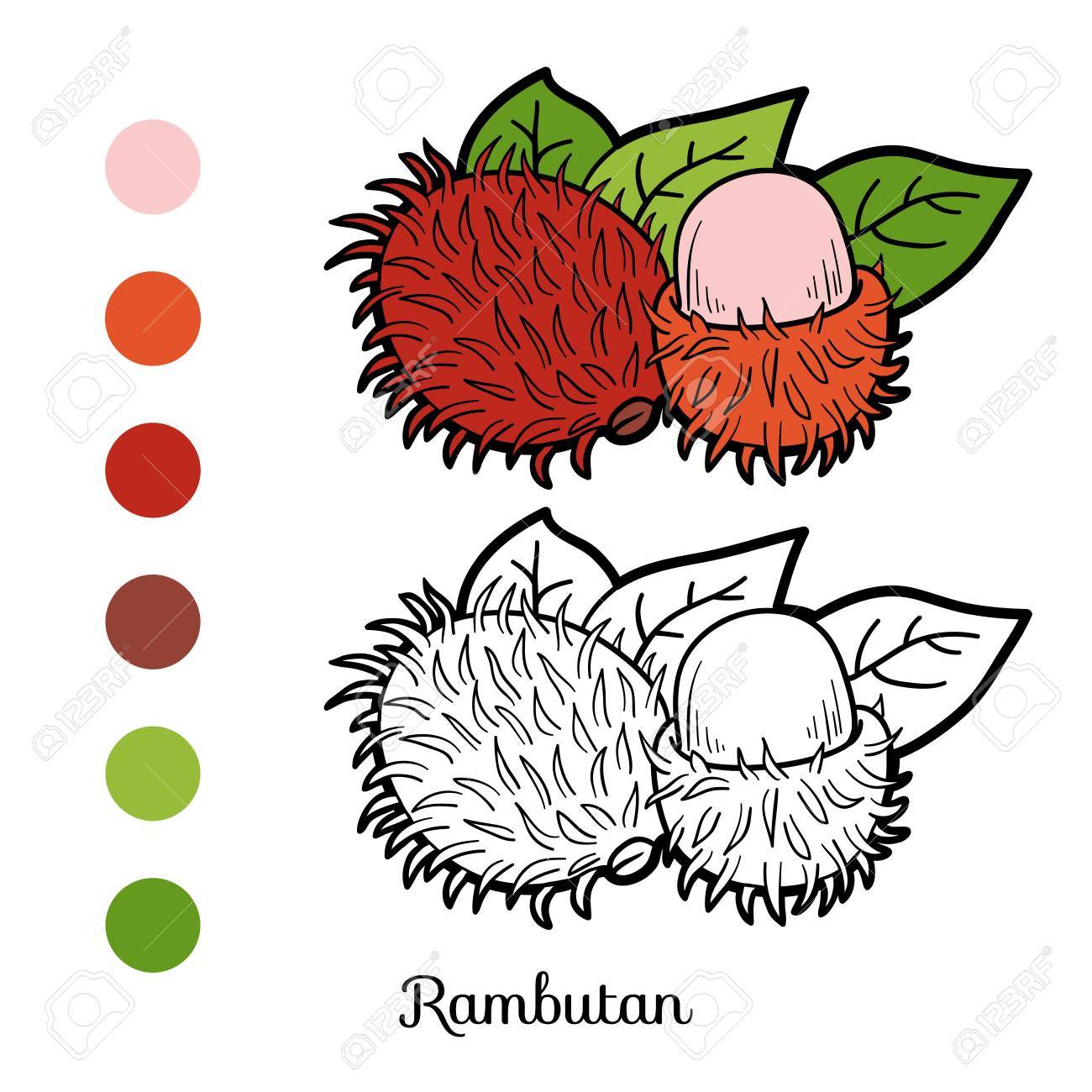 Coloring book game for children fruits and vegetables rambutan royalty free svg cliparts vectors and stock illustration image