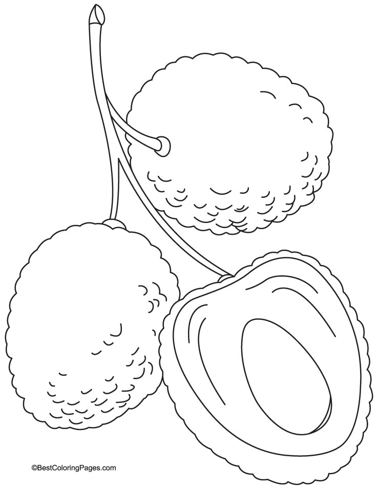 Delicious juicy red lychee coloring page download free delicious juicy red lychee coloring page for kids best coloring pages