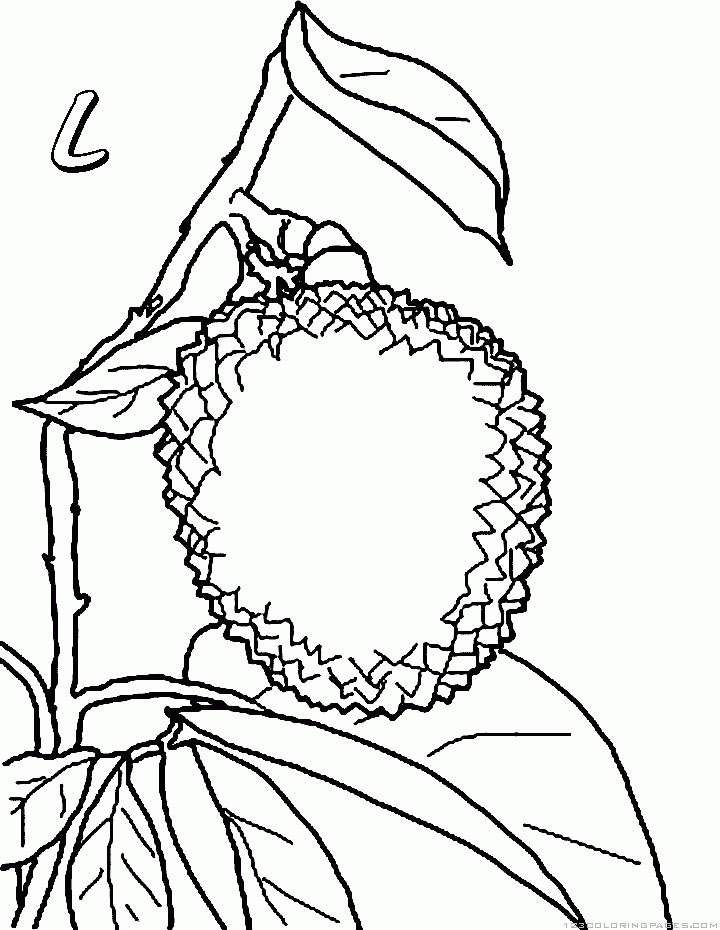 Lychee coloring pages