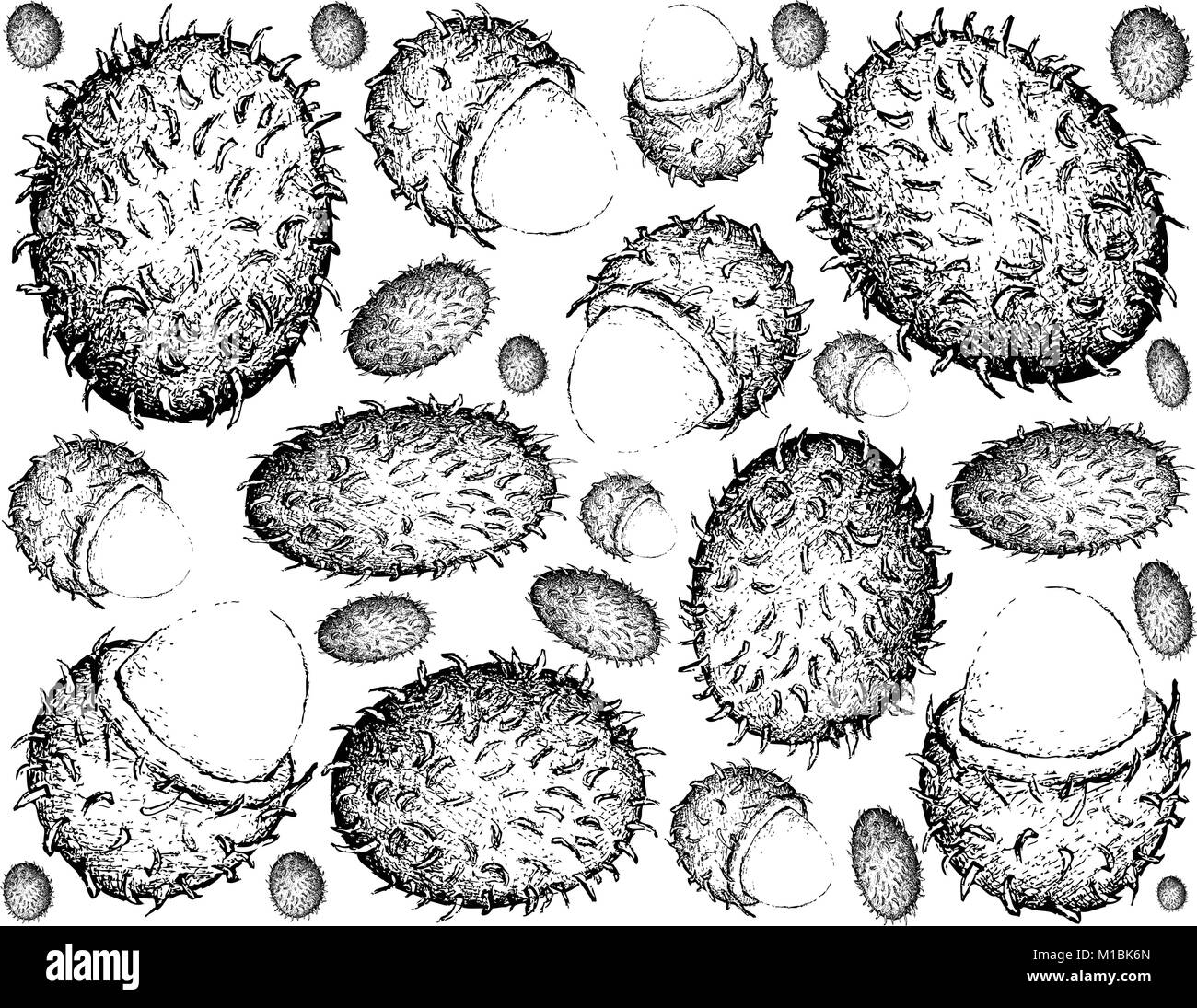 Red rambutan black and white stock photos images