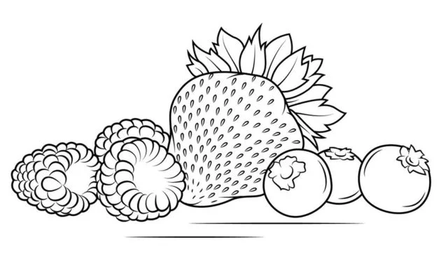 Coloring pages fruits printable for kids adults free to download