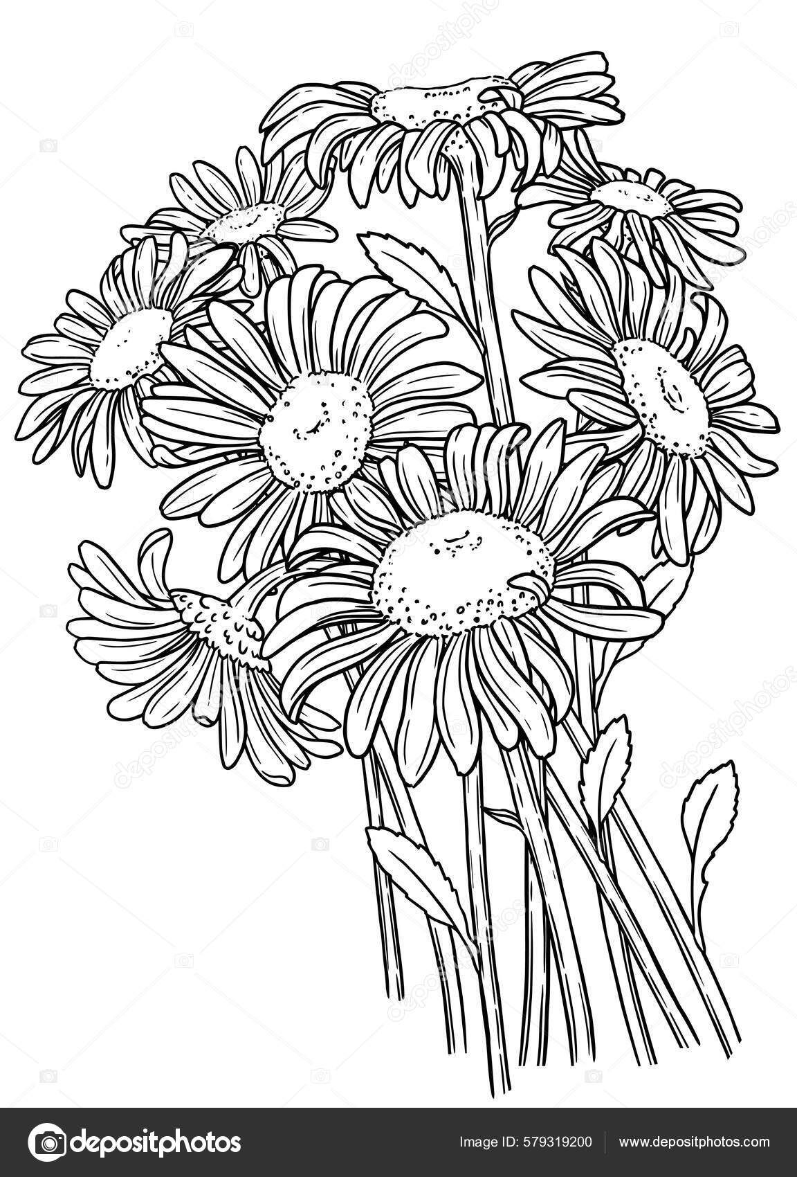 Pãgina para colorear para adultos ramo flores del prado contorno vector de stock por natasha