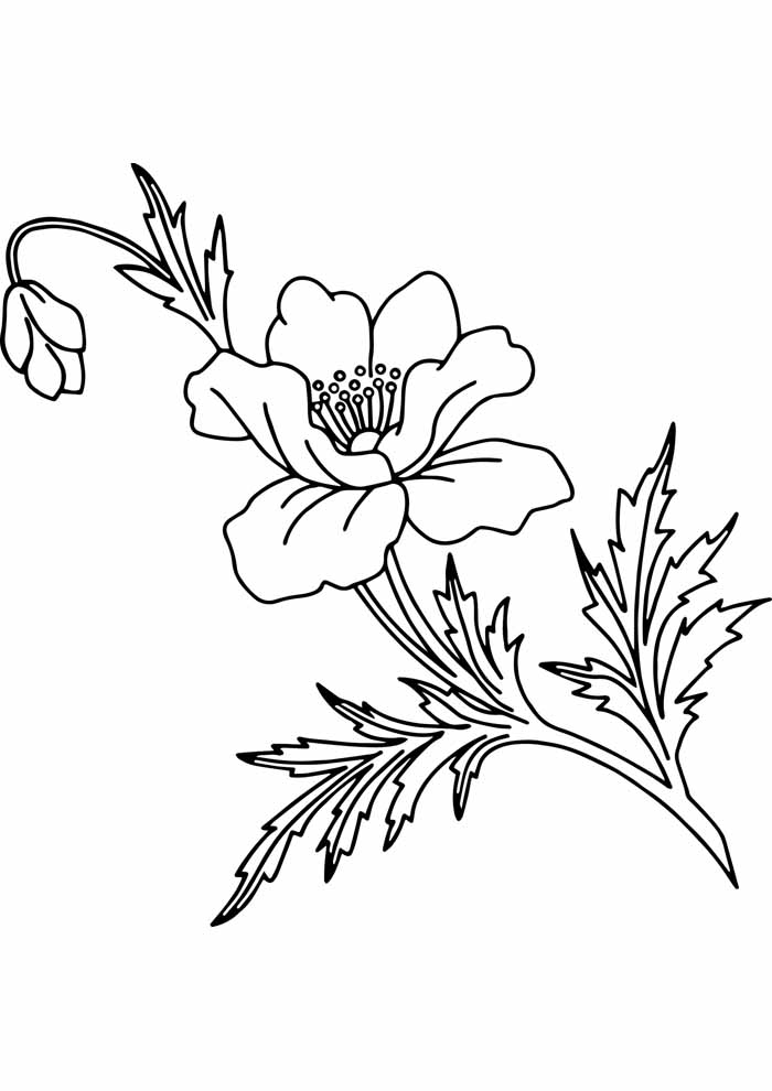 Flower coloring pages free personalizable coloring pages