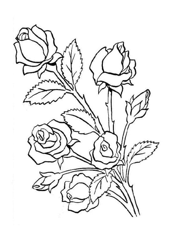 Ramo de rosas flores para colorir coisas para desenhar padrãµes para pintura