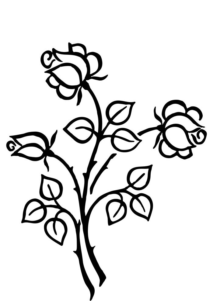 Flower coloring pages free personalizable coloring pages