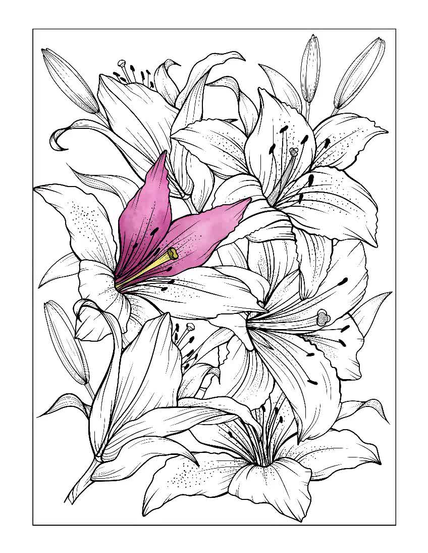 Flower coloring pages for adults printable adult coloring pages floral coloring book for adults digital coloring at home home activity