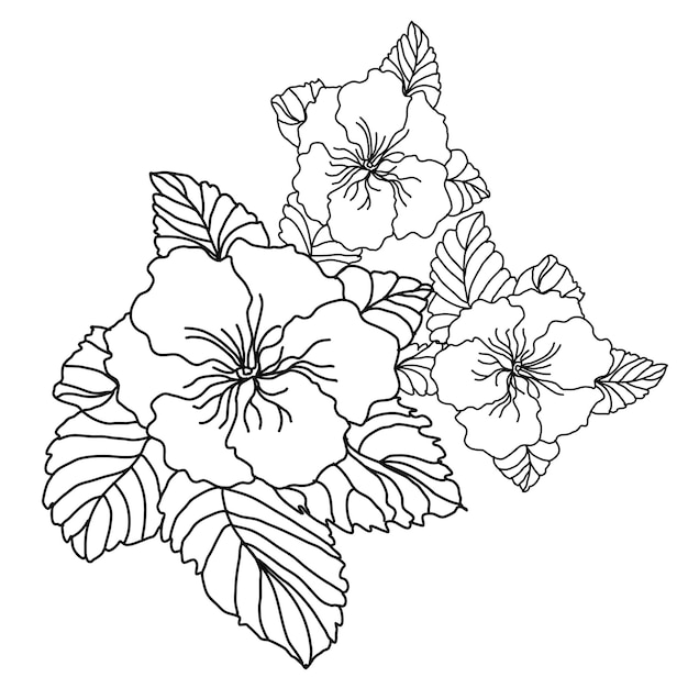 Arranjo de flores de flores de prãmula lineart vetor premium