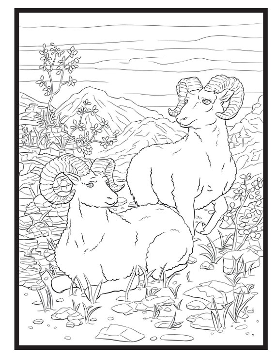 Rams single coloring page