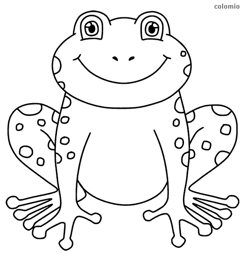 Frogs coloring pages free printable frog coloring sheets