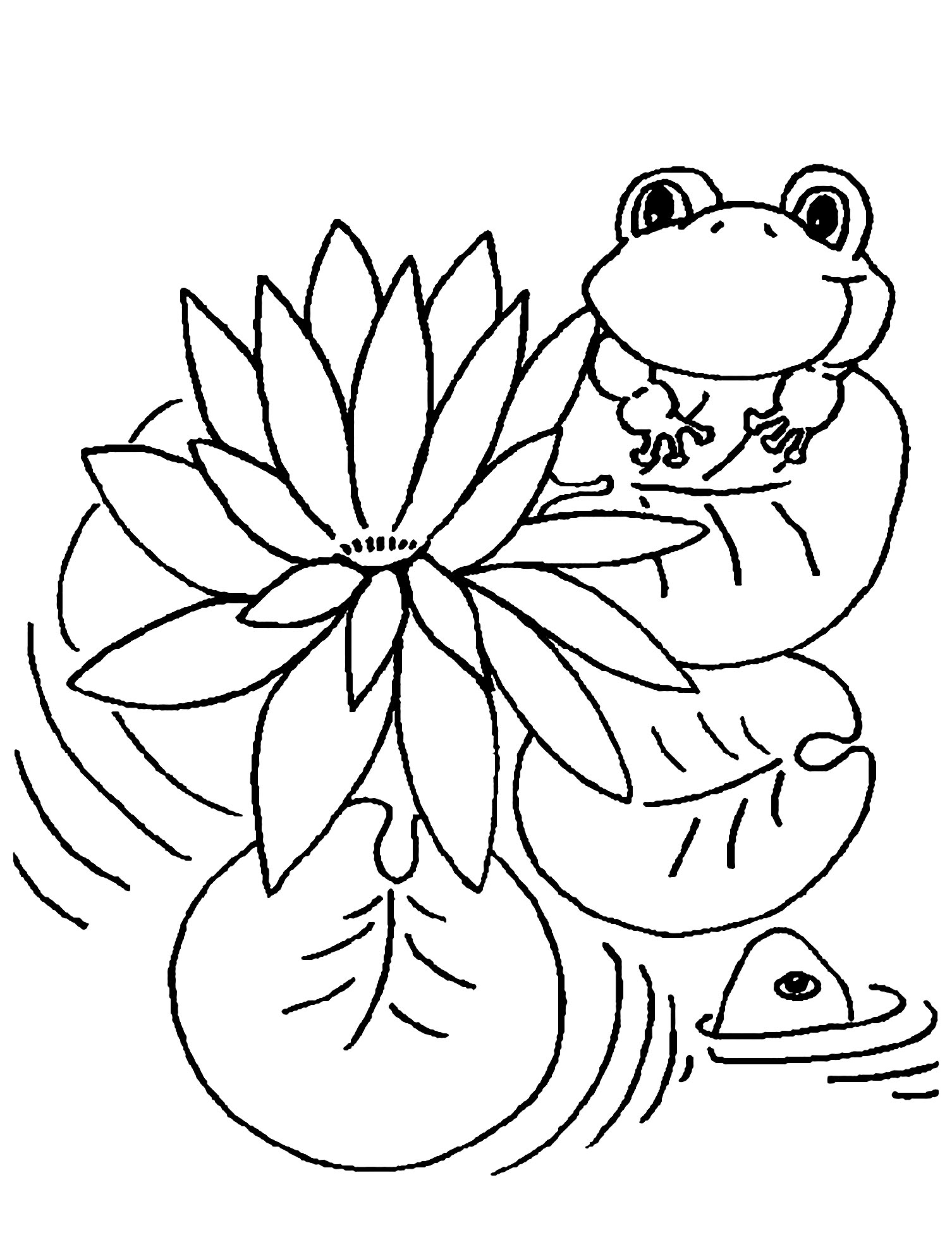 Rana en la pãgina para colorear lovely lily pad coloring page new conventional lily pad coloring page