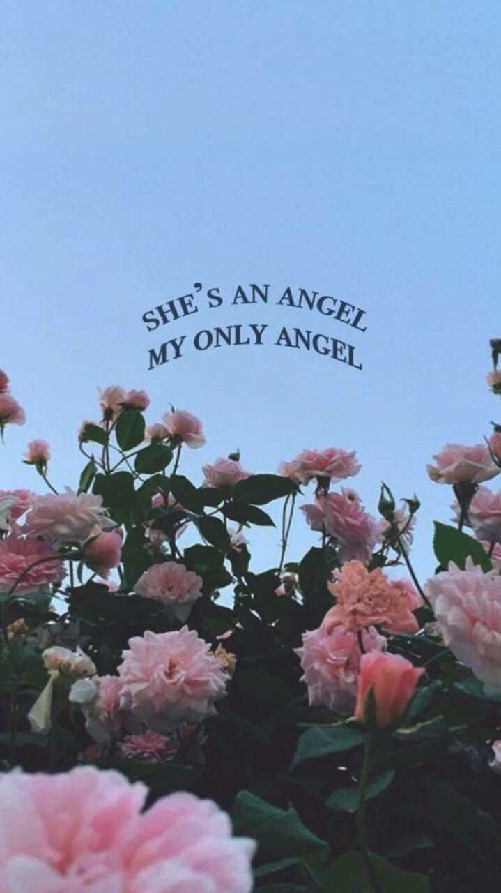 Rose aesthetic tumblr quote wallpapers