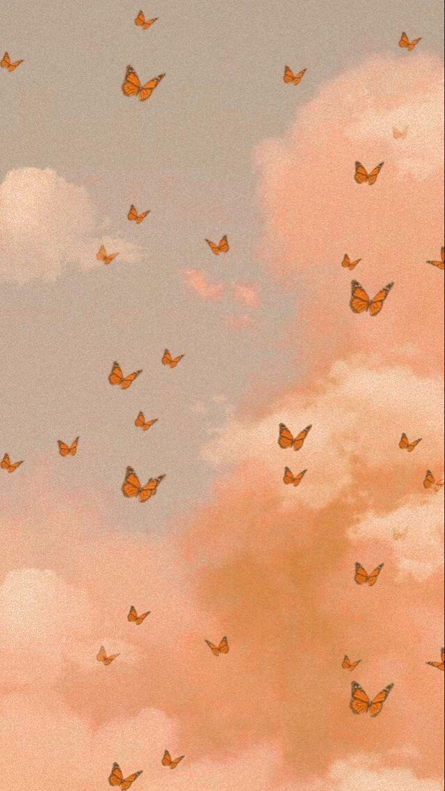 Image about aesthetic in random ð by alyssascanvas desktop wallpaper art butterfly wallpaper iphone iphone background wallpaper