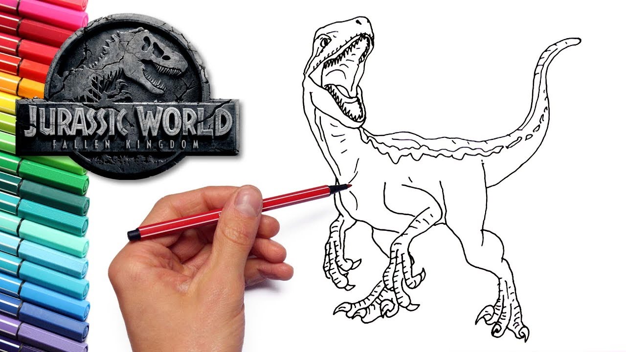 Blue velociraptor fro jurassic world fallen kingdo drawing and coloring