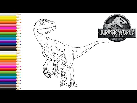 How to draw velociraptor blue from jurassic world