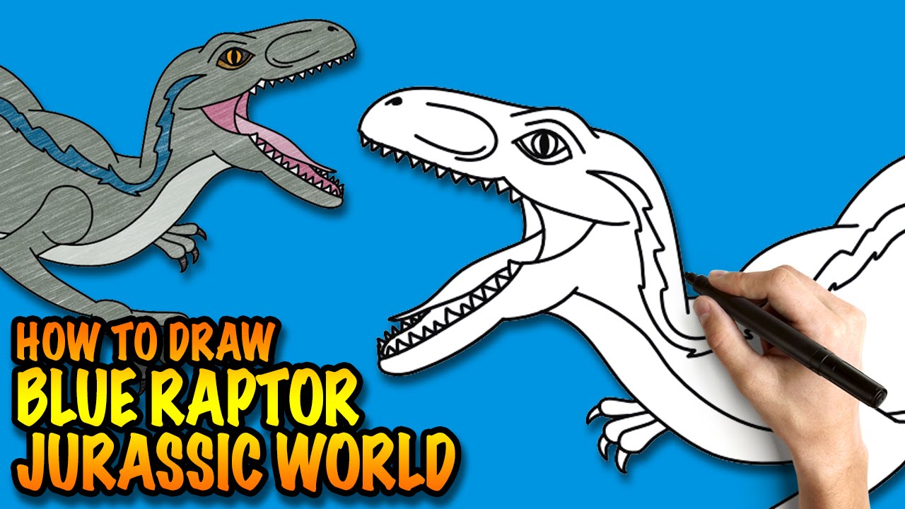 How to draw a blue raptor from jurassic world