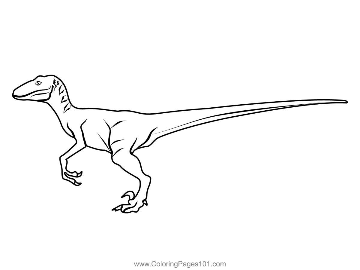 Raptor coloring page dinosaur coloring pages coloring pages dinosaur printables