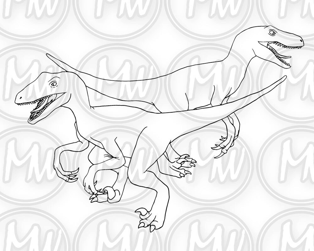 Dinosaur velociraptor printable coloring page digital stamp illustration coloring book instant download line art crafts cards