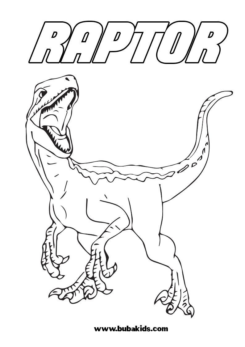 Dosaurs raptor colorg page for kids dosaur colorg pages colorg pages for kids colorg pages