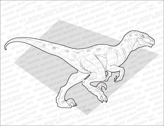 Raptor coloring page