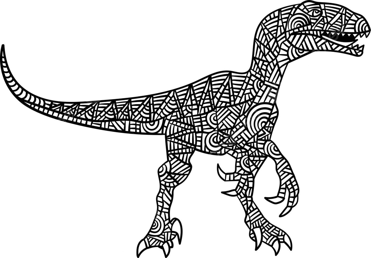 Velociraptor mandala coloring pages for adults colouring book doodle wildlife vector book drawing man drawing ring drawing png and vector with transparent background for free download