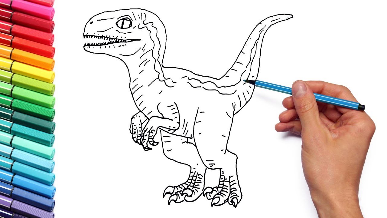 Drawing and coloring baby raptor blue from jurassic world