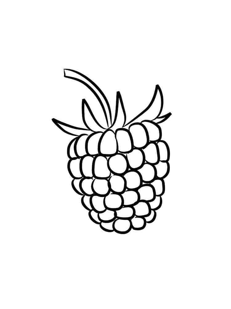 A raspberry coloring page