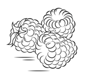 Raspberry coloring pages free coloring pages
