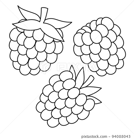 Raspberry fruit isolated coloring page for kids