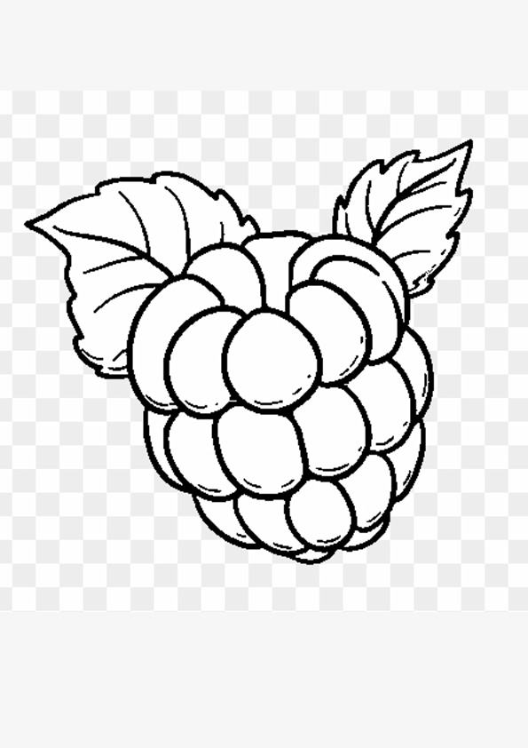 Coloring pages raspberry fruits coloring pages