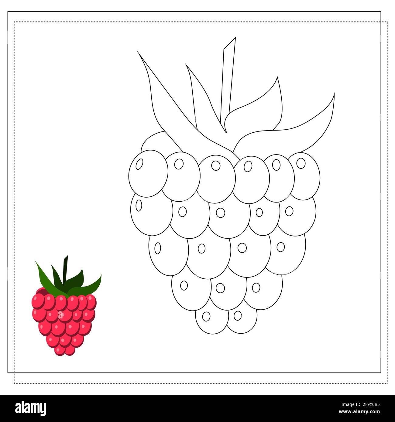 Page of the coloring book raspberry color version and sketch coloring book for kids vector illustration isolated on a white background stock vector image art