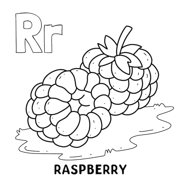 Alphabet fruit raspberry