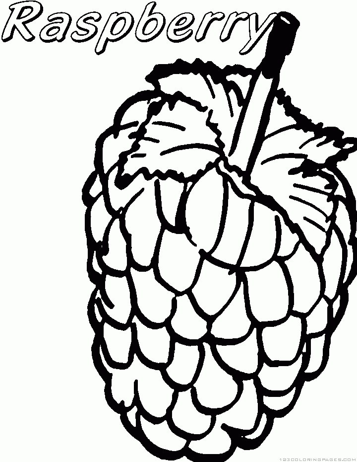 Raspberry coloring pages