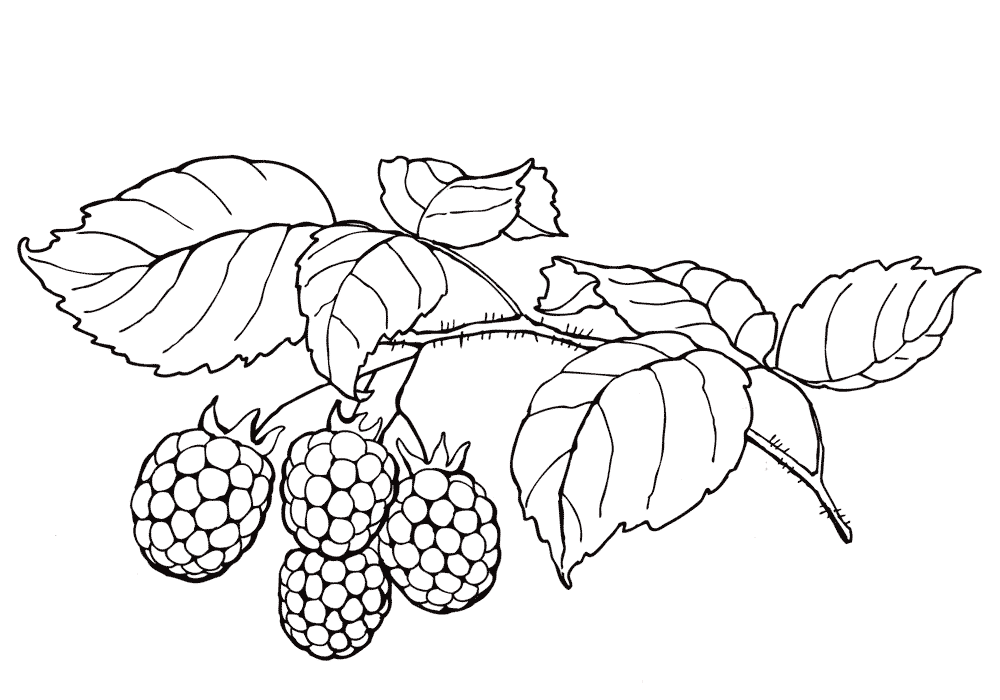 Coloring page