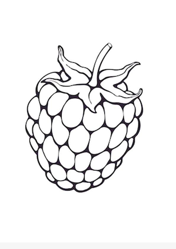 Coloring pages download and print raspberry fruit coloring page for kids