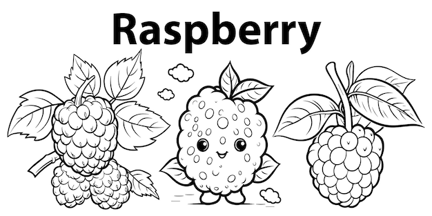 Premium vector a set of cute raspberry line art coloring pages design