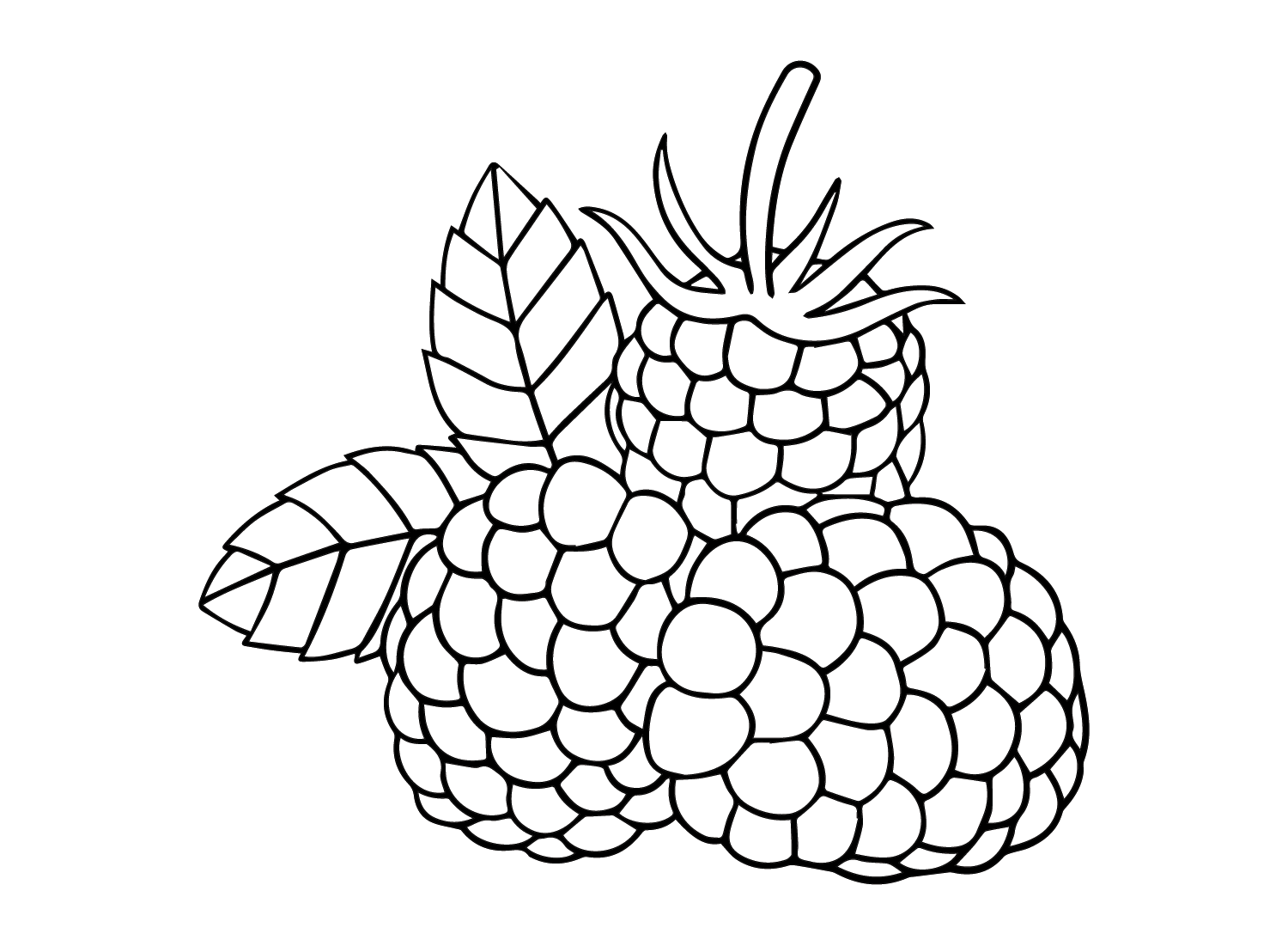 Raspberry coloring pages