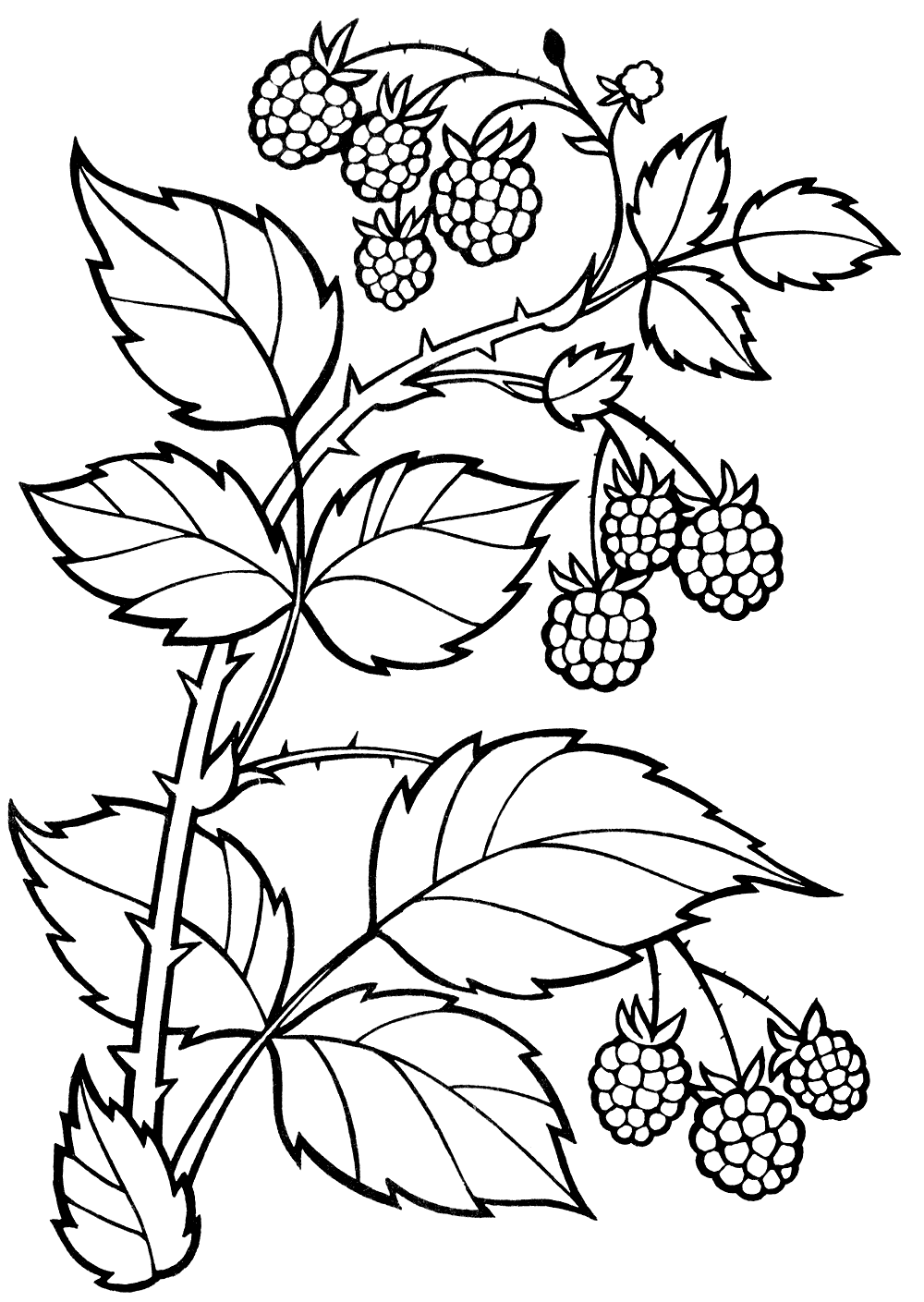 Coloring page