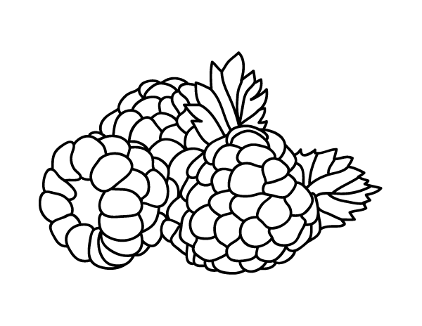 Printable raspberry coloring page